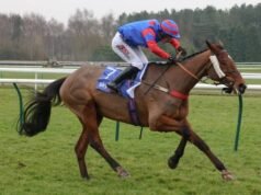 Kuda Grand National di rumah sakit karena cedera, kabar terbaru tentang tiga kali jatuh | Ras | olahraga