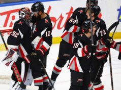 Ada banyak darah baru di babak playoff NHL dan juara Piala Stanley baru akan dinobatkan