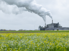 Perancis hari ini mencapai “Hari Melampaui” dan kini hidup dengan “kredit ekologis”