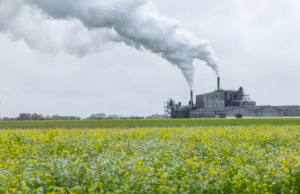 Perancis hari ini mencapai “Hari Melampaui” dan kini hidup dengan “kredit ekologis”