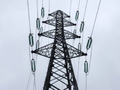 keluar atau reformasi? Paradoks standardisasi RN