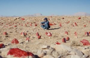 “Apa yang Surga Tidak Tahu” oleh Feda Wardak, Saïdo Lehlouh & Deena Abdelwahed