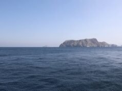 LANGSUNG – Perang di Timur Tengah: Selat Hormuz telah dibuka kembali untuk navigasi, sebuah misi internasional untuk mengamankan lalu lintas maritim…