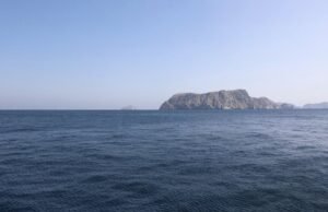 LANGSUNG – Perang di Timur Tengah: Selat Hormuz telah dibuka kembali untuk navigasi, sebuah misi internasional untuk mengamankan lalu lintas maritim…