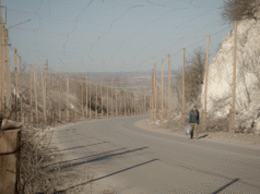 HIDUP. Perang Rusia melawan Ukraina: semua informasi per 22/04/2026