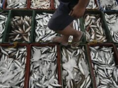 Filipina menuduh Tiongkok meracuni perairan yang disengketakan itu dengan sianida, sehingga membuat pasukan yang ditempatkan di sana kehilangan sumber makanan penting.