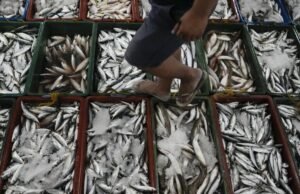 Filipina menuduh Tiongkok meracuni perairan yang disengketakan itu dengan sianida, sehingga membuat pasukan yang ditempatkan di sana kehilangan sumber makanan penting.