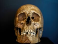 Arkeologi: apa itu Karlus-Marxis, hominid baru yang ditemukan di Prancis