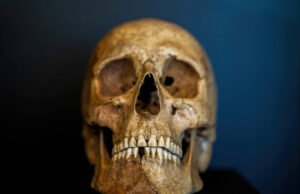 Arkeologi: apa itu Karlus-Marxis, hominid baru yang ditemukan di Prancis