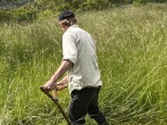 Olivier Veillon dalam ‘Malam Waktu’