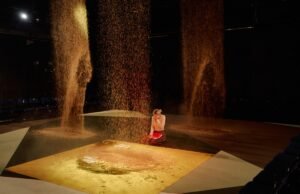 MomA oleh Toril Goksøyr dan Camilla Martens