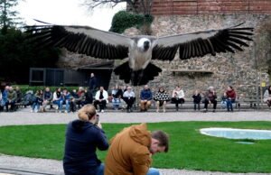 juga. Monkey Mountain, NaturOparC, Didi’Land… ide kami untuk menghirup udara segar bersama keluarga di musim semi ini
