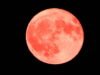 Astronomi. Mengapa bulan berwarna merah muda yang terlihat malam ini sebenarnya tidak berwarna merah muda