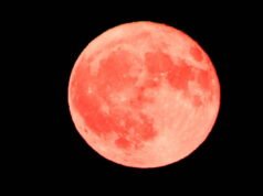 Astronomi. Mengapa bulan berwarna merah muda yang terlihat malam ini sebenarnya tidak berwarna merah muda