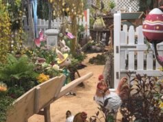 Hobi. Pilihan tamasya kami akhir pekan ini di Center Alsace