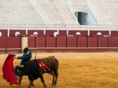 Spanyol. Mantan matador meninggal karena tertanduk saat mempersiapkan adu banteng Paskah