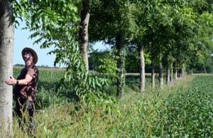 Menghadapi bahaya iklim, agroforestri berupaya untuk dikembangkan