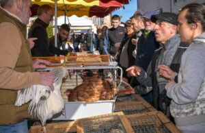 ribuan pengunjung di bawah matahari untuk edisi ke-60