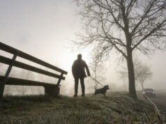 Ramalan cuaca. Badai pasir di Sahara: apa yang bisa kita harapkan di langit Prancis akhir pekan ini?