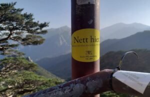 haro pada terlalu banyak stiker “Nett di sini” ini?