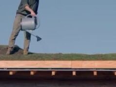 Rakyat. “Aku akhirnya sampai”: penyanyi Vianney telah menyelesaikan gubuknya dan akan mengunci diri di dalamnya selama sebulan