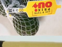 Konsumsi. Kadmium, timbal… sejumlah alpukat yang dijual di Lidl ditarik kembali di seluruh Prancis
