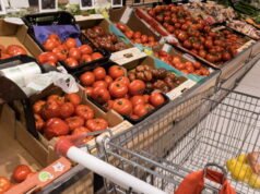 Mengapa tomat sekarang mahal?