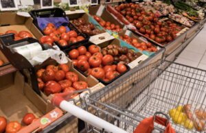 Mengapa tomat sekarang mahal?