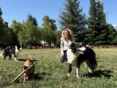 30 juta teman. Mengapa Grenoble berada di puncak daftar “kota yang nyaman untuk ditinggali bersama hewan”