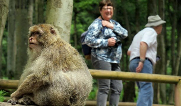 Foto Franck Delhomme