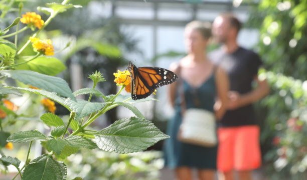 Foto Vincent Voegtlin