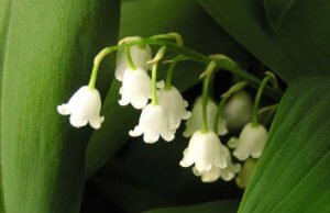 Pekerjaan pada tanggal 1 Mei: delapan organisasi serikat buruh menentangnya, namun pemerintah berjanji untuk tidak “bertindak dengan kekerasan”